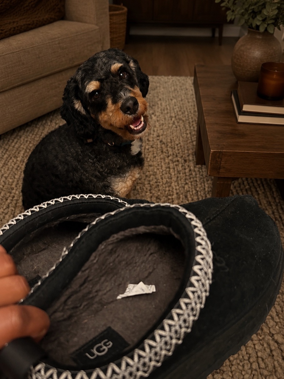 UGG Black Suede Plush-Lined Dog House Slipper
